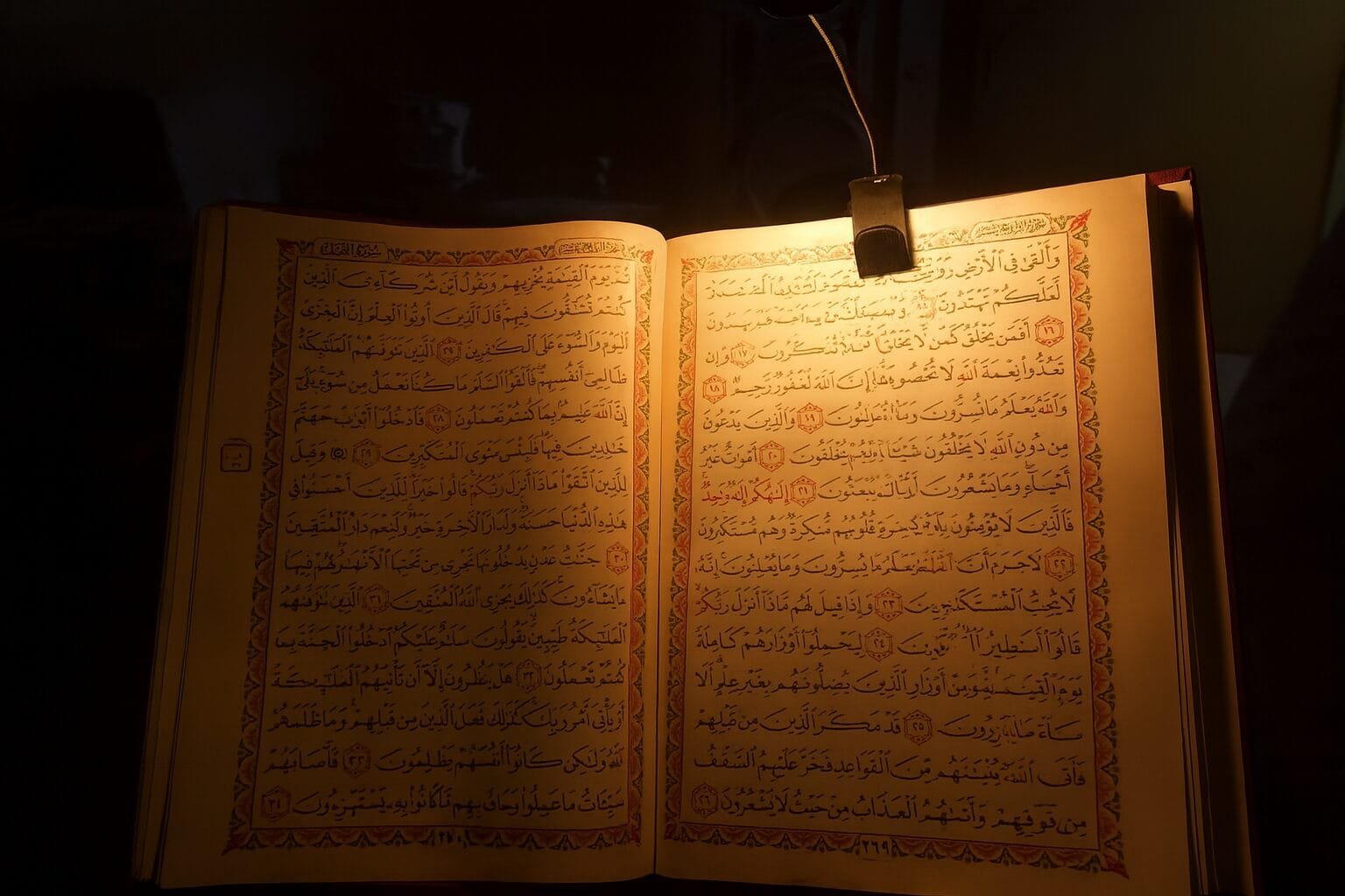 حامل مصحف طبي مع كشاف LED - الصورة 2